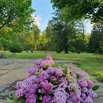 Au Charme Du Temps * Rosieres (Haute-Loire)