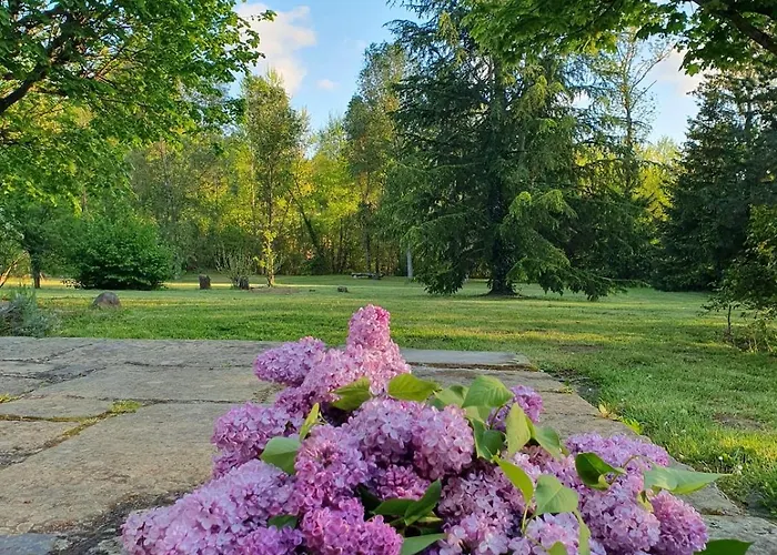 Au Charme Du Temps * Rosieres (Haute-Loire)